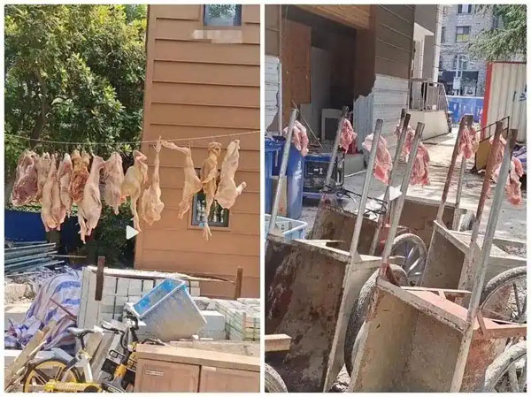 食品销毁处理