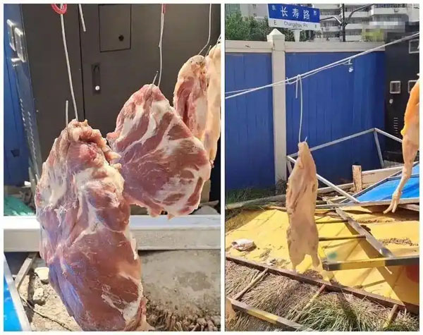 食品销毁处理