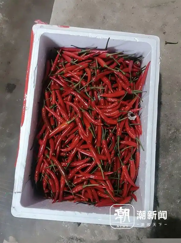 农产品销毁公司