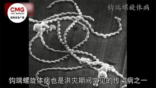 食品销毁公司